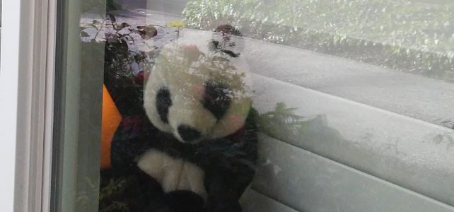 La Loma “Bear Hunt”