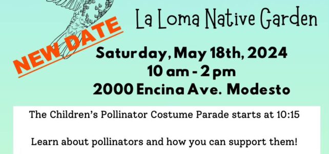 Pollinator Festival – New Date – May 18 Pollinator Festival – New Date – May 18